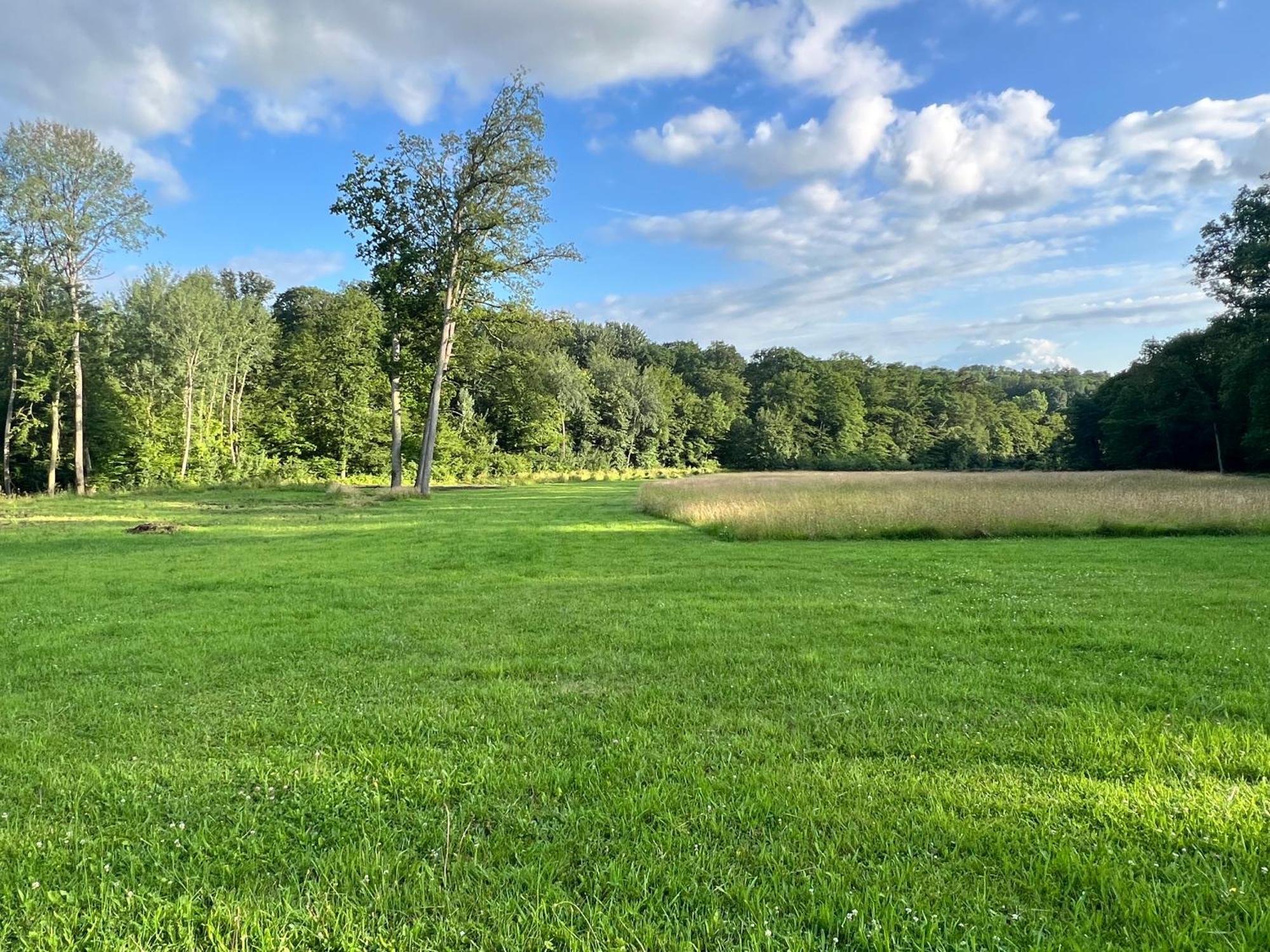 Château de Crènille Chaumes-en-Brie Esterno foto