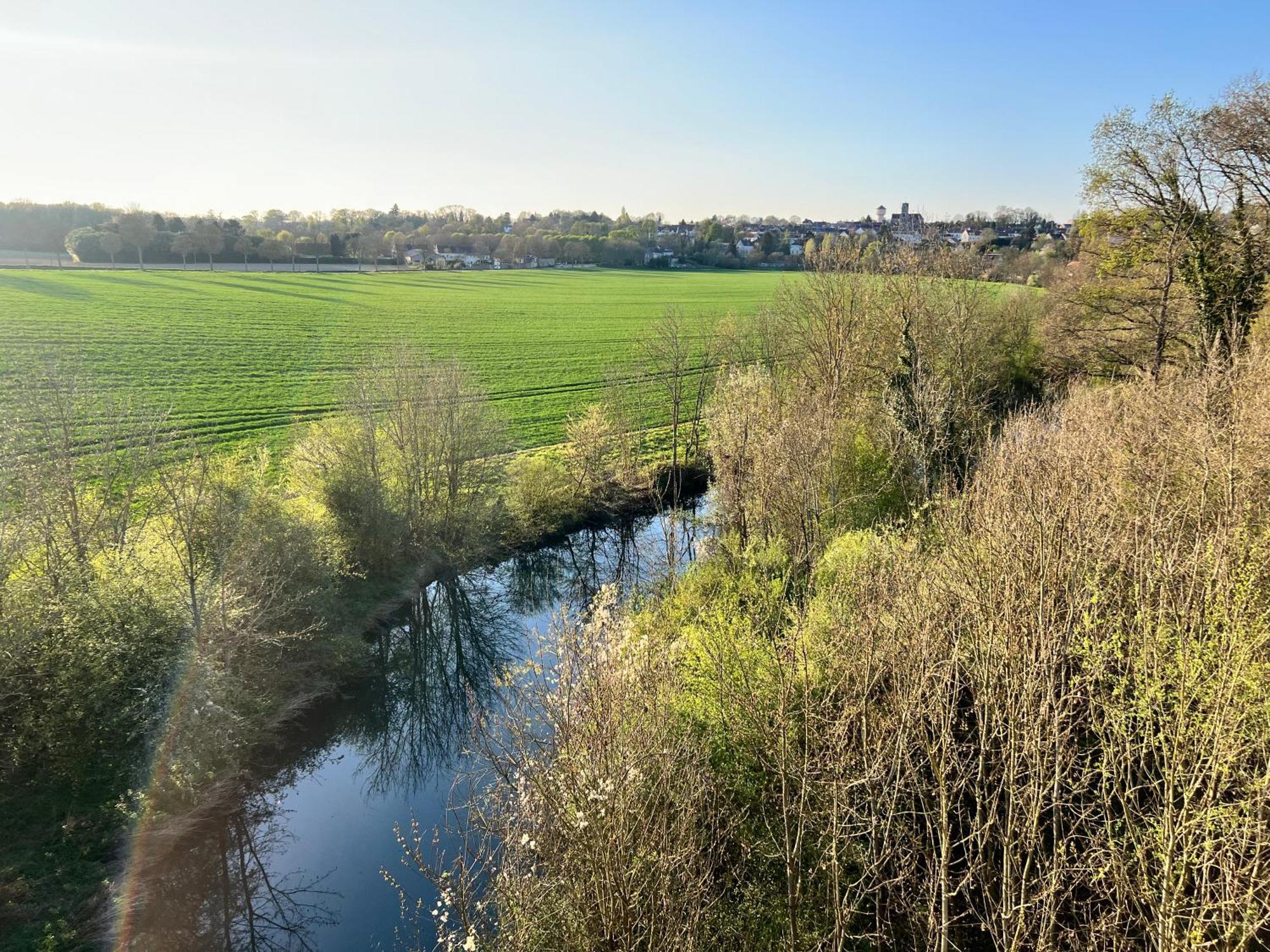Château de Crènille Chaumes-en-Brie Esterno foto